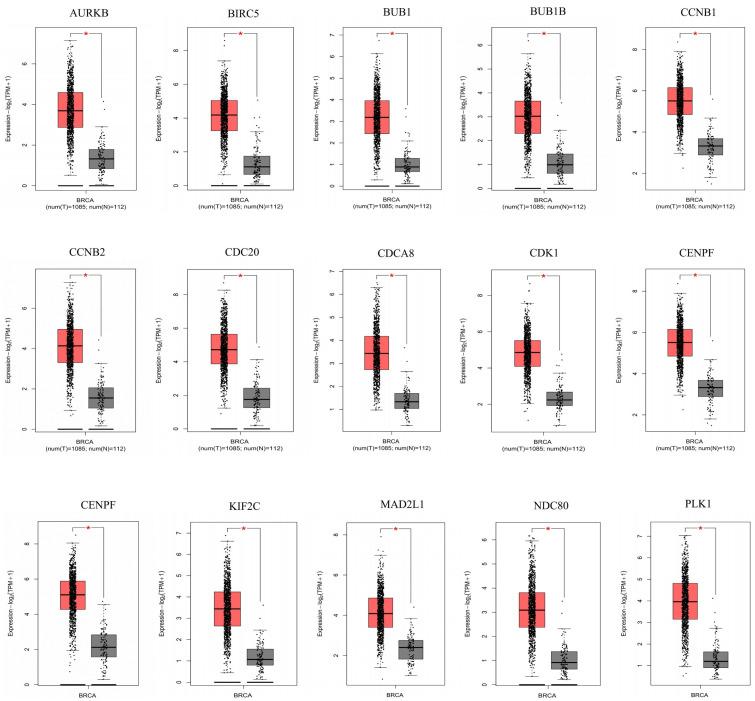 https://cdn.ncbi.nlm.nih.gov/pmc/blobs/f254/9027215/7823bd122425/genes-13-00654-g004.jpg