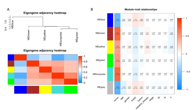 https://cdn.ncbi.nlm.nih.gov/pmc/blobs/f254/9027215/c5324db98eb6/genes-13-00654-g002.jpg