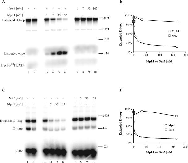 https://cdn.ncbi.nlm.nih.gov/pmc/blobs/f255/3119790/e51c566484ef/gr5.jpg