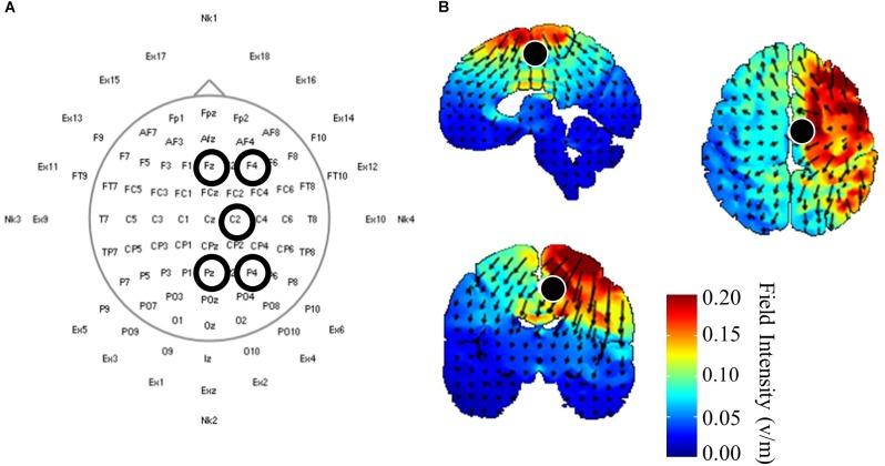 https://cdn.ncbi.nlm.nih.gov/pmc/blobs/f255/6470292/e15966f6e860/fnins-13-00286-g001.jpg