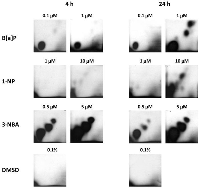 https://cdn.ncbi.nlm.nih.gov/pmc/blobs/f25a/5037673/b52fb6df9303/ijms-17-01393-g001.jpg