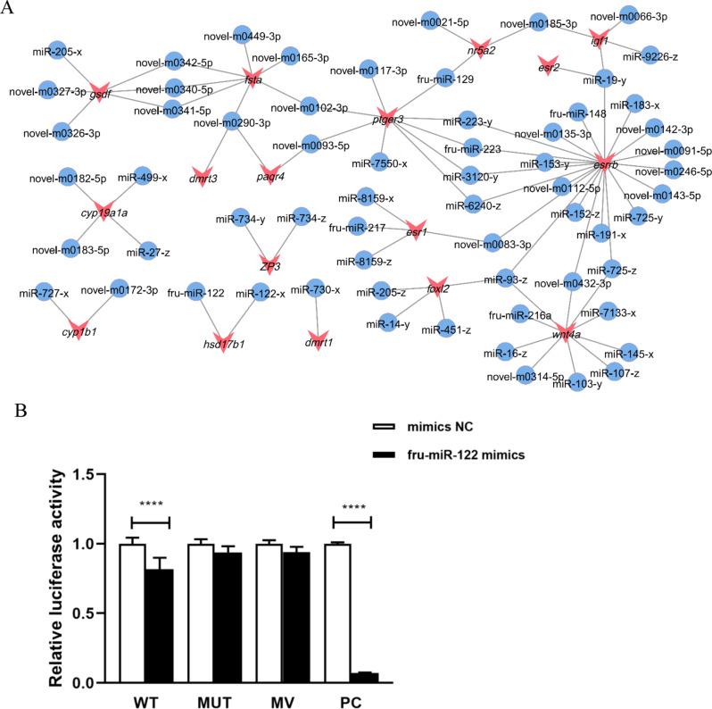 https://cdn.ncbi.nlm.nih.gov/pmc/blobs/f25d/12067753/4cc060eda476/12864_2025_11647_Fig4_HTML.jpg