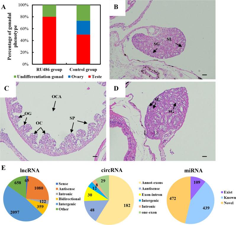 https://cdn.ncbi.nlm.nih.gov/pmc/blobs/f25d/12067753/abf7654ed1fc/12864_2025_11647_Fig1_HTML.jpg