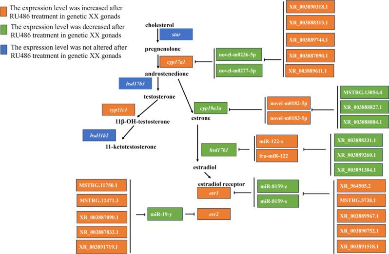 https://cdn.ncbi.nlm.nih.gov/pmc/blobs/f25d/12067753/c0ddc2fadaf7/12864_2025_11647_Fig8_HTML.jpg