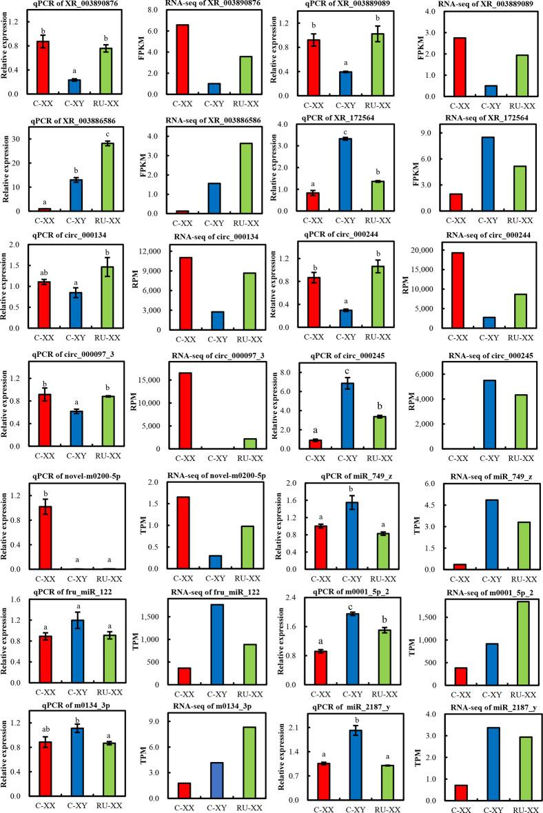 https://cdn.ncbi.nlm.nih.gov/pmc/blobs/f25d/12067753/d216ba1b388c/12864_2025_11647_Fig6_HTML.jpg