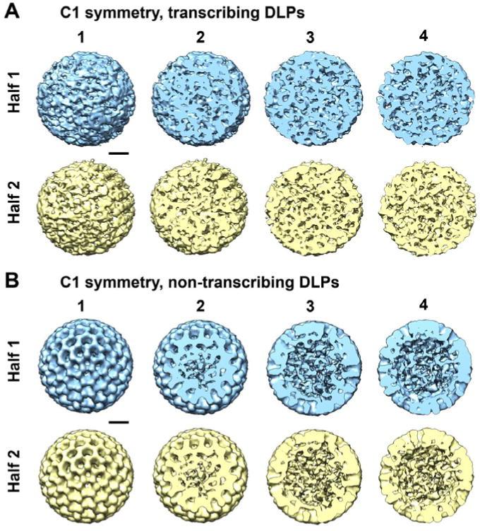 https://cdn.ncbi.nlm.nih.gov/pmc/blobs/f25d/5094455/f5f278a12a20/nihms718135f4.jpg