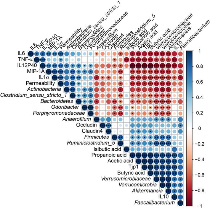 https://cdn.ncbi.nlm.nih.gov/pmc/blobs/f25e/7264873/484157a10c4a/MBT2-13-1228-g007.jpg