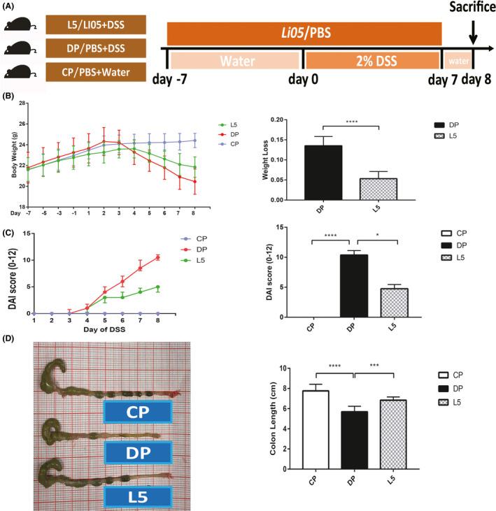 https://cdn.ncbi.nlm.nih.gov/pmc/blobs/f25e/7264873/aa5f3aa2394c/MBT2-13-1228-g001.jpg