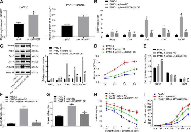 https://cdn.ncbi.nlm.nih.gov/pmc/blobs/f25e/8390744/6a854f297608/41420_2021_575_Fig3_HTML.jpg