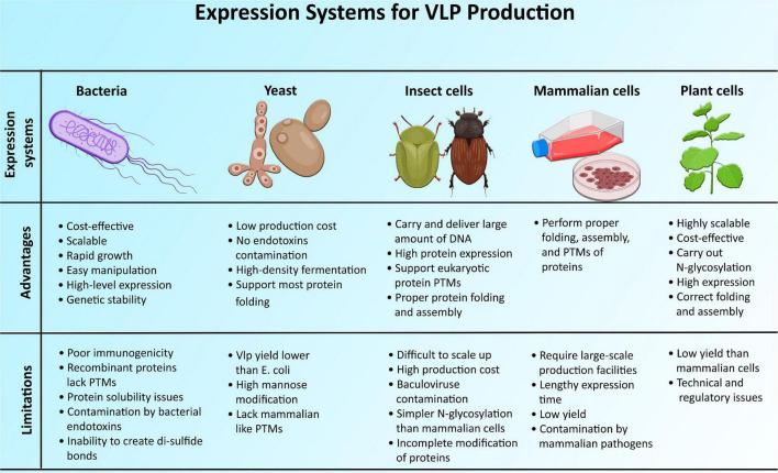 https://cdn.ncbi.nlm.nih.gov/pmc/blobs/f25e/8761975/d12ba80916c5/fmicb-12-790121-g004.jpg