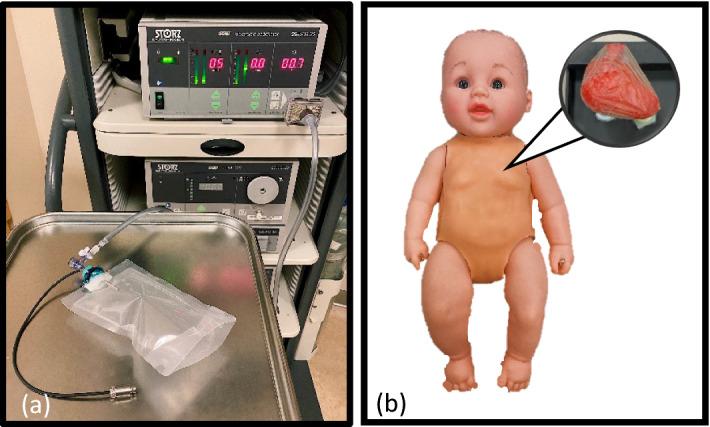 https://cdn.ncbi.nlm.nih.gov/pmc/blobs/f25e/9976548/67c043524601/12938_2023_1085_Fig7_HTML.jpg