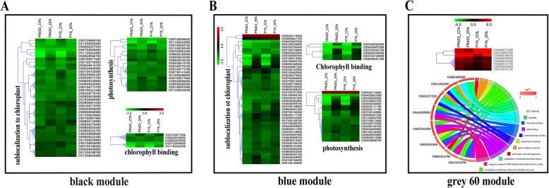 https://cdn.ncbi.nlm.nih.gov/pmc/blobs/f25f/7576772/17ad70a20b7f/12870_2020_2705_Fig6_HTML.jpg
