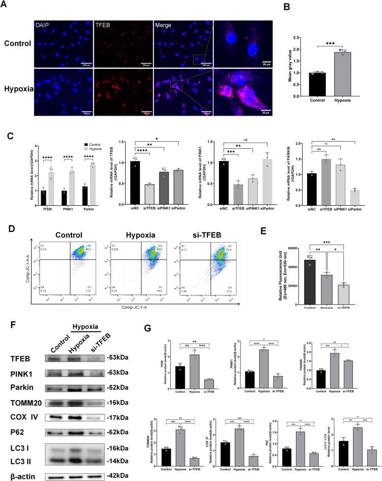 https://cdn.ncbi.nlm.nih.gov/pmc/blobs/f260/12223042/499d267692bb/41598_2025_7068_Fig4_HTML.jpg