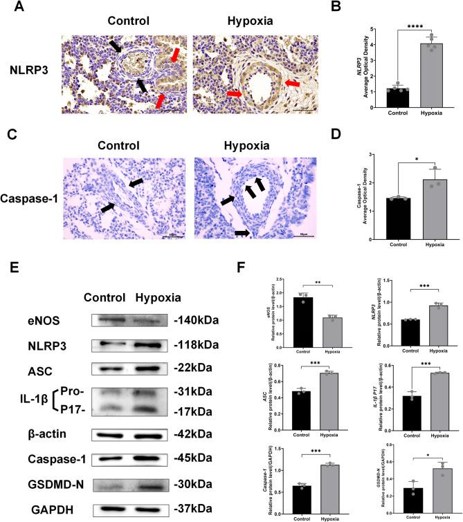 https://cdn.ncbi.nlm.nih.gov/pmc/blobs/f260/12223042/4cbc25af54fc/41598_2025_7068_Fig3_HTML.jpg