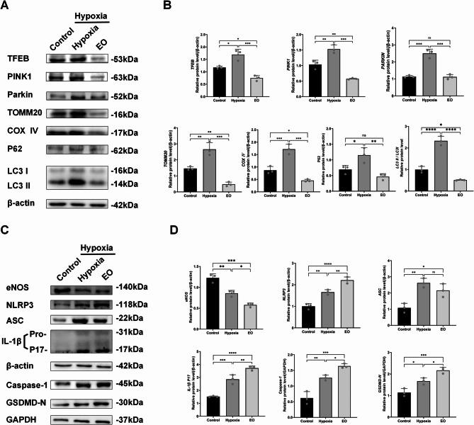 https://cdn.ncbi.nlm.nih.gov/pmc/blobs/f260/12223042/66975cd93090/41598_2025_7068_Fig8_HTML.jpg