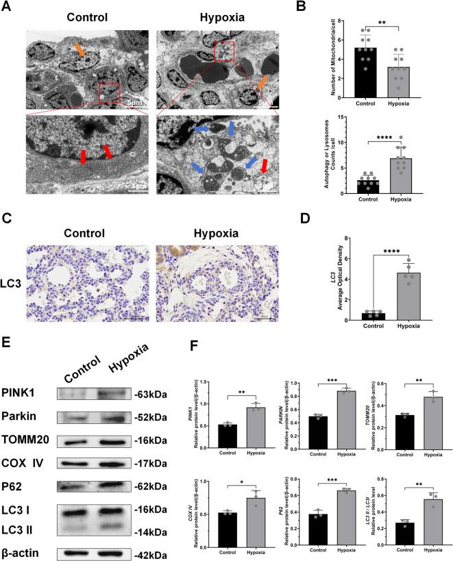 https://cdn.ncbi.nlm.nih.gov/pmc/blobs/f260/12223042/ab9163d1653e/41598_2025_7068_Fig2_HTML.jpg