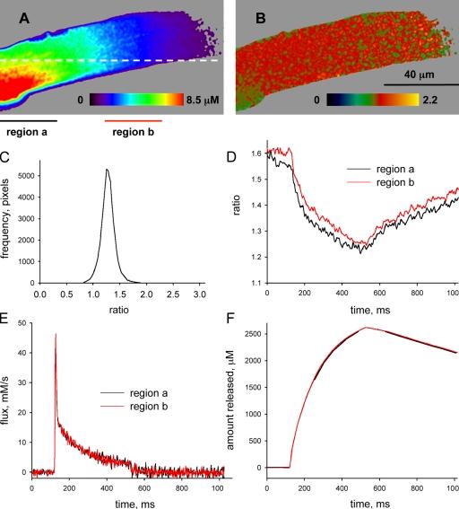 https://cdn.ncbi.nlm.nih.gov/pmc/blobs/f260/3149434/3d4132f27c3c/JGP_201010592_RGB_Fig7.jpg