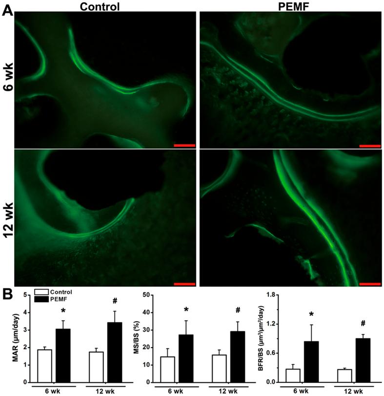 https://cdn.ncbi.nlm.nih.gov/pmc/blobs/f260/4995433/71217919e6f5/srep32045-f7.jpg