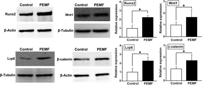 https://cdn.ncbi.nlm.nih.gov/pmc/blobs/f260/4995433/8bb2ee49aa35/srep32045-f4.jpg