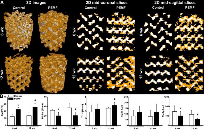 https://cdn.ncbi.nlm.nih.gov/pmc/blobs/f260/4995433/8c6d984693b5/srep32045-f5.jpg