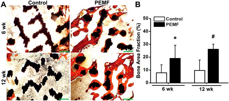https://cdn.ncbi.nlm.nih.gov/pmc/blobs/f260/4995433/f53fd91e54a8/srep32045-f6.jpg