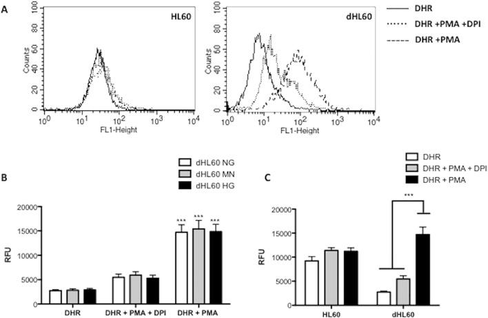 https://cdn.ncbi.nlm.nih.gov/pmc/blobs/f266/4323339/399d8b94df2e/pone.0116410.g001.jpg