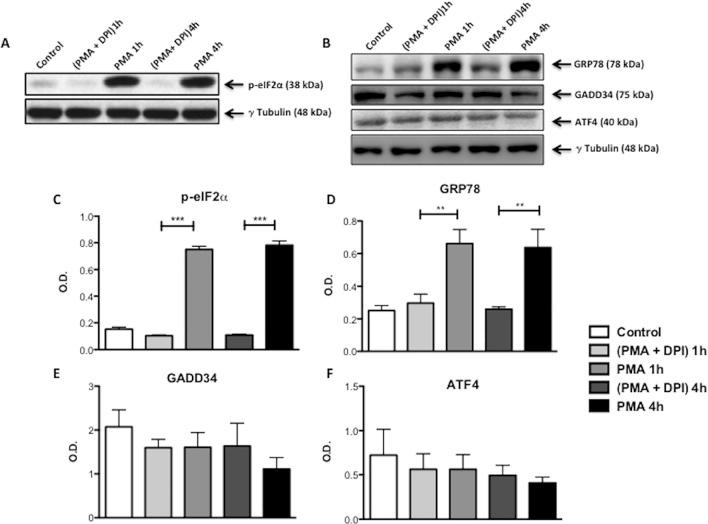 https://cdn.ncbi.nlm.nih.gov/pmc/blobs/f266/4323339/9be12028d9ba/pone.0116410.g004.jpg