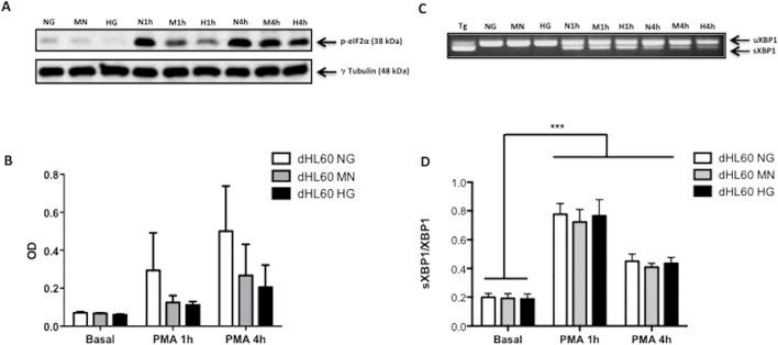 https://cdn.ncbi.nlm.nih.gov/pmc/blobs/f266/4323339/ee271703eef6/pone.0116410.g003.jpg