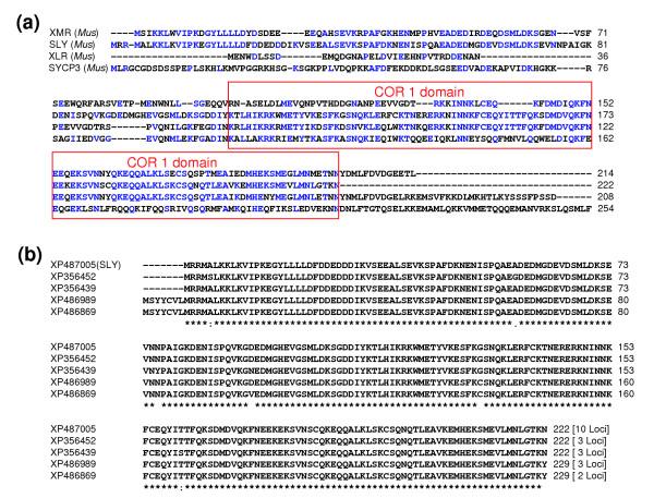 https://cdn.ncbi.nlm.nih.gov/pmc/blobs/f267/1414076/5bf8ce95dcbc/gb-2005-6-12-r102-7.jpg