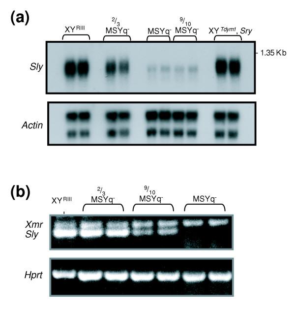 https://cdn.ncbi.nlm.nih.gov/pmc/blobs/f267/1414076/989cdc0d33ff/gb-2005-6-12-r102-3.jpg