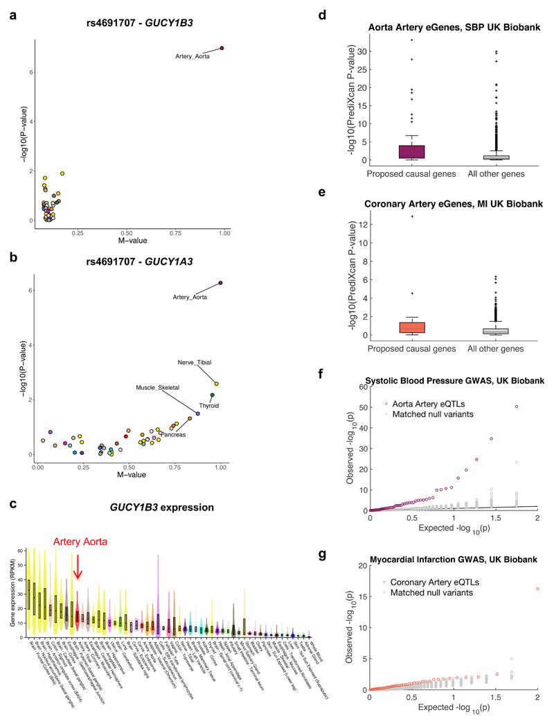 https://cdn.ncbi.nlm.nih.gov/pmc/blobs/f267/6248311/18569b2657e5/emss-77665-f006.jpg