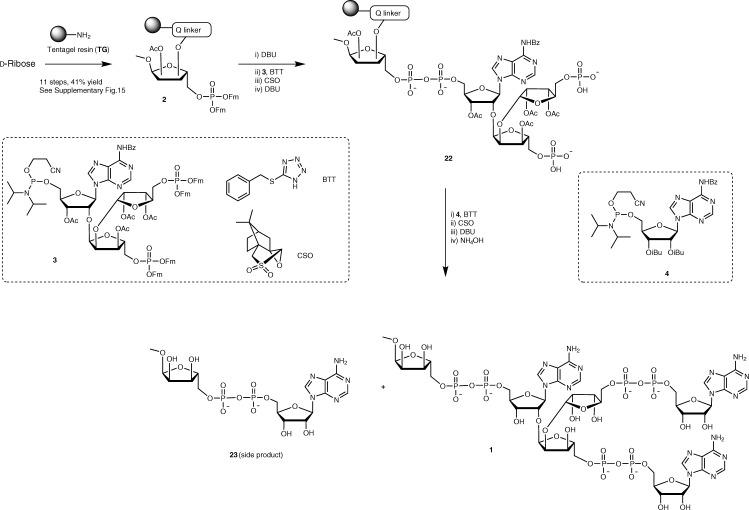 https://cdn.ncbi.nlm.nih.gov/pmc/blobs/f267/8319183/e982aa9e877f/41467_2021_24723_Fig4_HTML.jpg