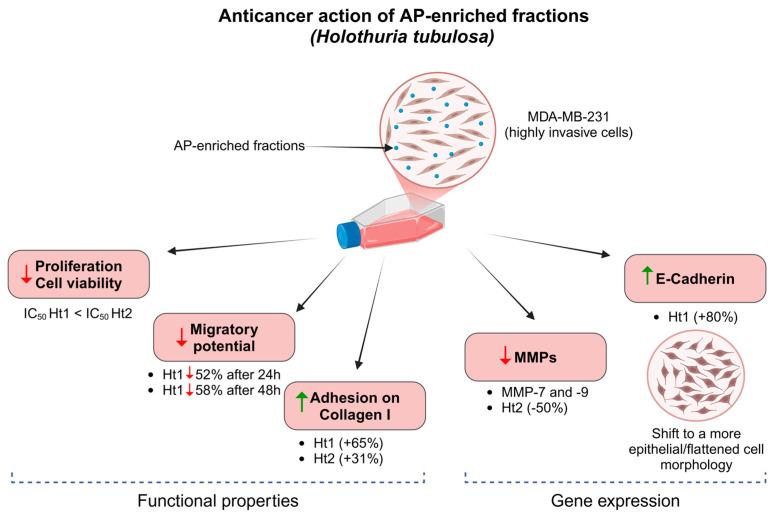 https://cdn.ncbi.nlm.nih.gov/pmc/blobs/f268/12025287/992b72cd7e74/biology-14-00334-g008.jpg
