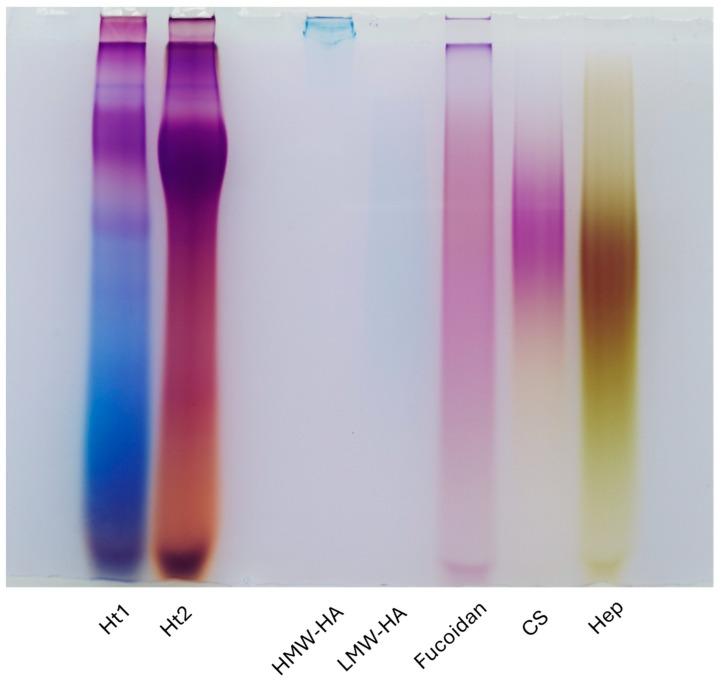 https://cdn.ncbi.nlm.nih.gov/pmc/blobs/f268/12025287/b03345bd6890/biology-14-00334-g001.jpg