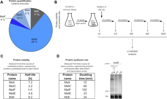https://cdn.ncbi.nlm.nih.gov/pmc/blobs/f269/7913692/e1e211ee21a7/gkaa1277fig10.jpg
