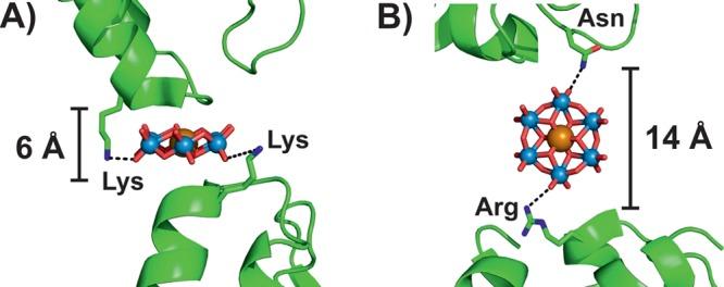 https://cdn.ncbi.nlm.nih.gov/pmc/blobs/f26b/5480232/9ba0e5316fe9/ar-2017-00109r_0003.jpg
