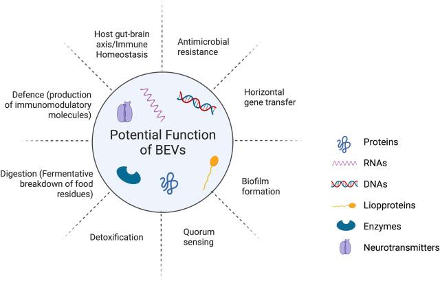 https://cdn.ncbi.nlm.nih.gov/pmc/blobs/f26c/9859449/7065b1208827/fphar-13-1051134-g001.jpg