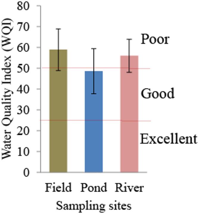 https://cdn.ncbi.nlm.nih.gov/pmc/blobs/f26e/12350622/41f3ccdc7270/41598_2025_15128_Fig2_HTML.jpg