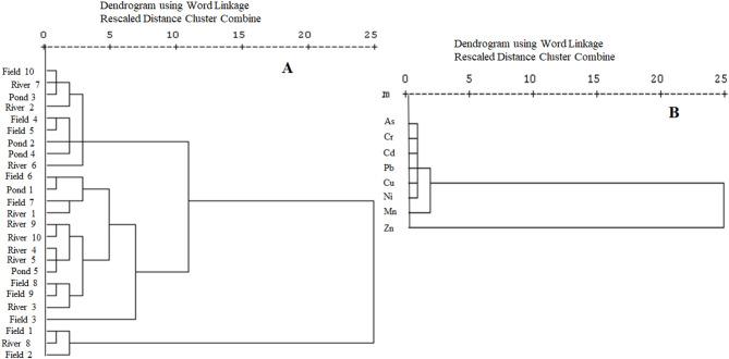 https://cdn.ncbi.nlm.nih.gov/pmc/blobs/f26e/12350622/7eb8a054a648/41598_2025_15128_Fig6_HTML.jpg