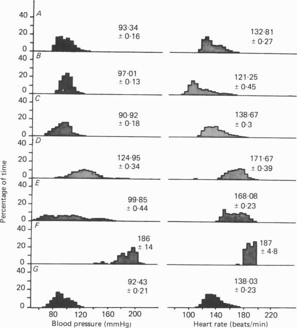 https://cdn.ncbi.nlm.nih.gov/pmc/blobs/f271/1193469/5e25865fc14d/jphysiol00578-0440-a.jpg