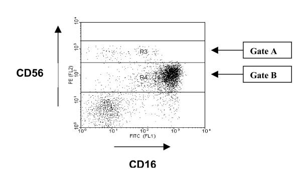 https://cdn.ncbi.nlm.nih.gov/pmc/blobs/f271/1702551/273a88e0c27a/1742-4933-3-10-1.jpg