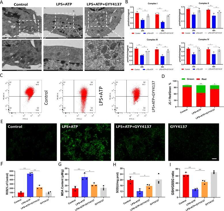 https://cdn.ncbi.nlm.nih.gov/pmc/blobs/f272/12126715/1bfbf509eb5a/gr5.jpg
