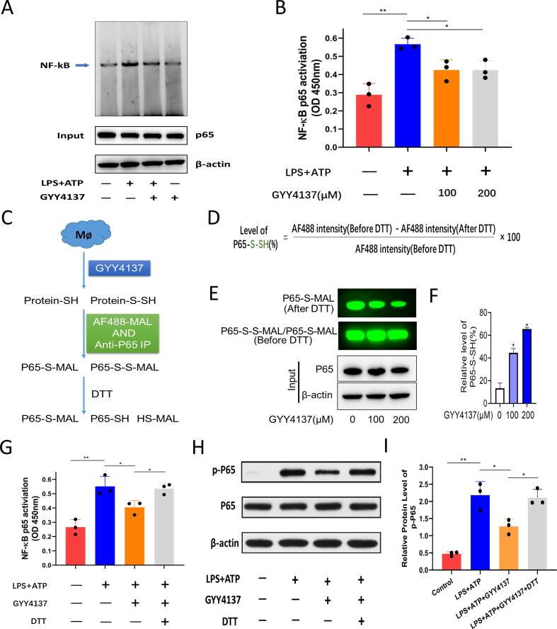 https://cdn.ncbi.nlm.nih.gov/pmc/blobs/f272/12126715/7eb535ba23fa/gr8.jpg