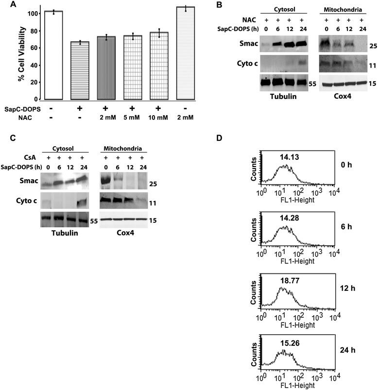 https://cdn.ncbi.nlm.nih.gov/pmc/blobs/f272/4397704/9934768bbe85/12943_2015_336_Fig5_HTML.jpg