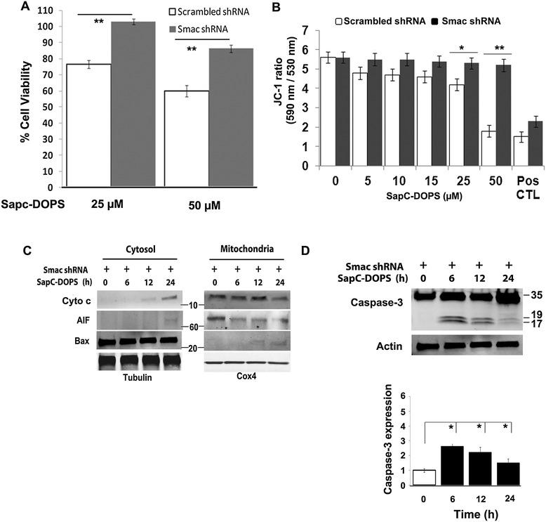 https://cdn.ncbi.nlm.nih.gov/pmc/blobs/f272/4397704/c1e4427e5f78/12943_2015_336_Fig6_HTML.jpg