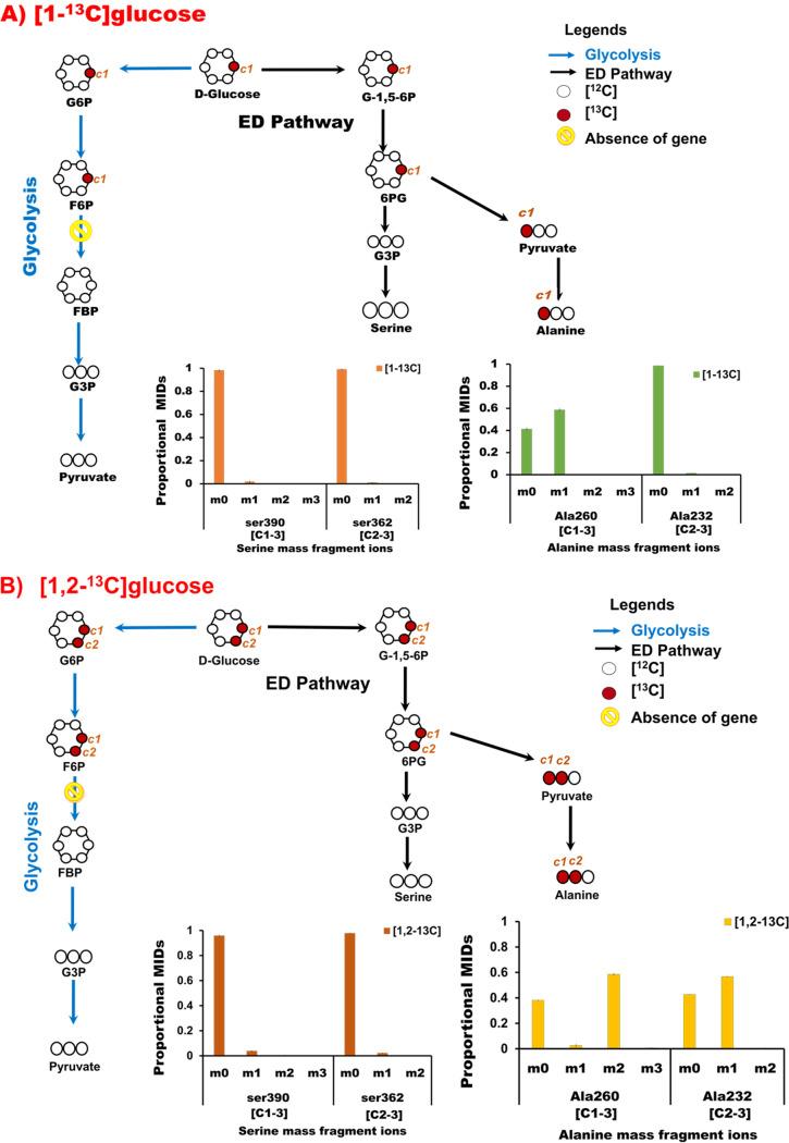 https://cdn.ncbi.nlm.nih.gov/pmc/blobs/f272/7065512/7067e668ab68/mSystems.00091-20-f0004.jpg