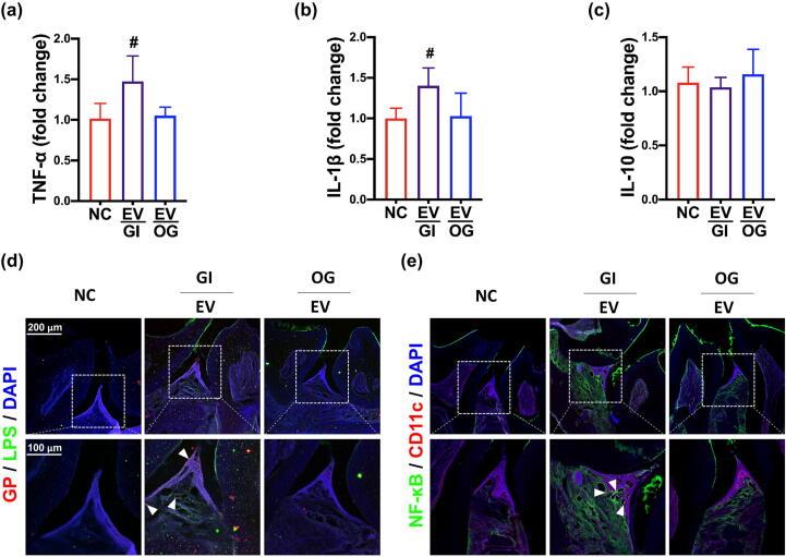 https://cdn.ncbi.nlm.nih.gov/pmc/blobs/f274/10703712/6d0dff3d54b6/gr4.jpg