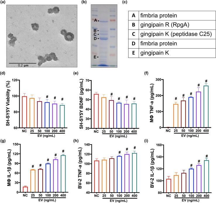 https://cdn.ncbi.nlm.nih.gov/pmc/blobs/f274/10703712/c54587a0d3f6/gr3.jpg