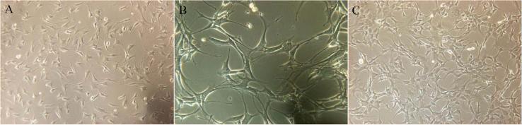 https://cdn.ncbi.nlm.nih.gov/pmc/blobs/f275/6395233/7e5cfe841f05/gr1.jpg