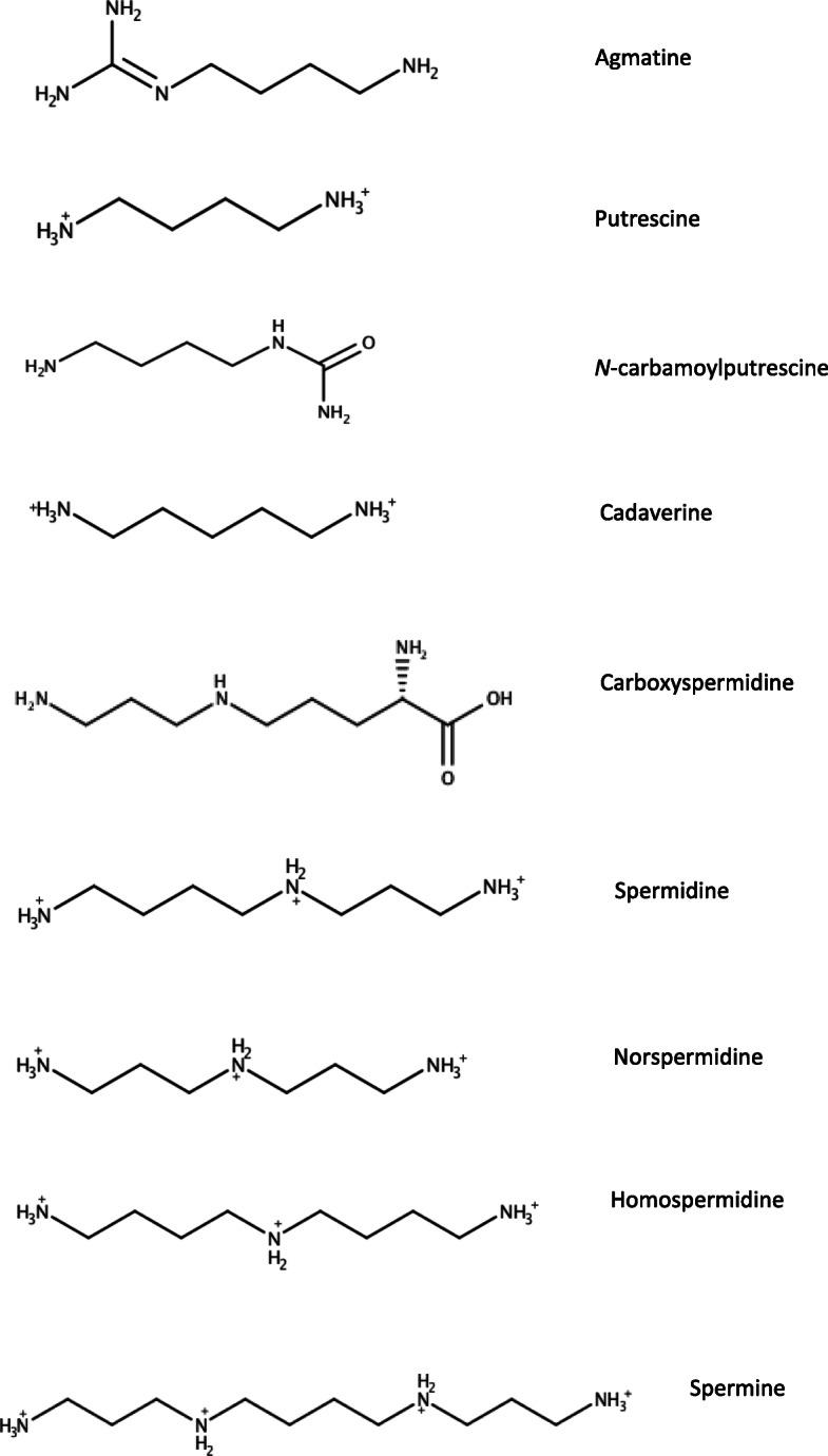 https://cdn.ncbi.nlm.nih.gov/pmc/blobs/f275/7992868/2f171f74c2c0/41479_2021_82_Fig1_HTML.jpg